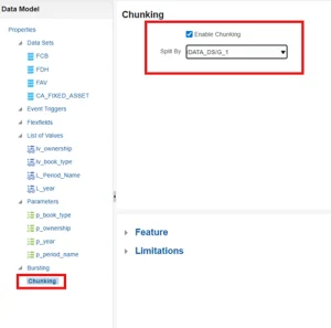Screenshot of Oracle ERP System showing the Chunking option enabled