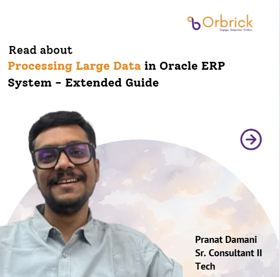 Processing Large Data in Oracle ERP System – Extended Guide