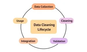 Diagram showing the Data Cleaning Lifecycle with steps: Data Collection, Cleaning, Validation, Integration, Usage
